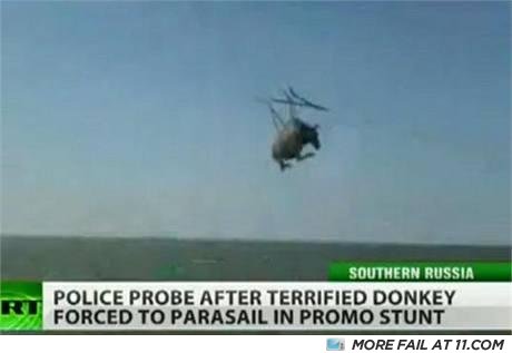 Donkey_fail