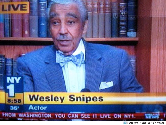 Wesleysnipes
