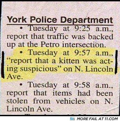Kittenactingsuspicious