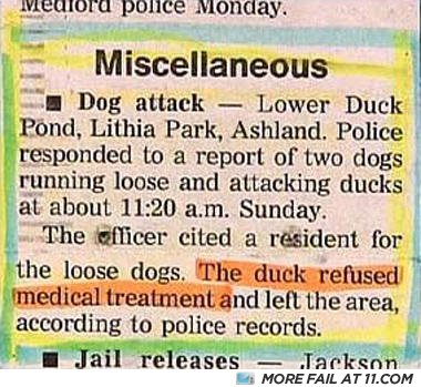 Duckrefused