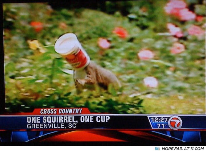 Onecup